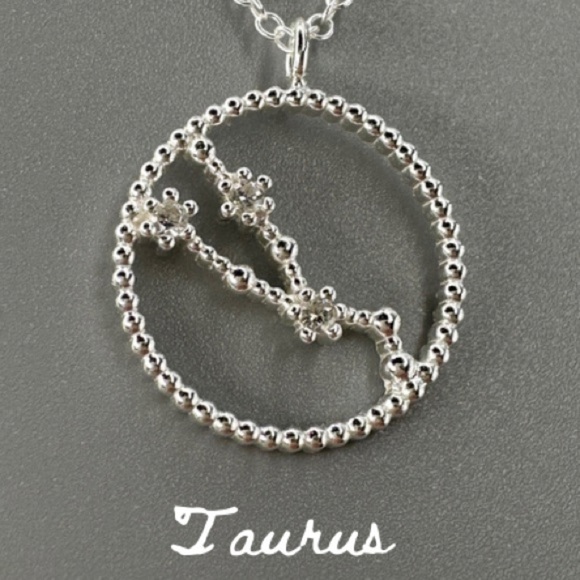 Sterling Silver Zodiac Constellation Necklaces - Picture 9 of 17